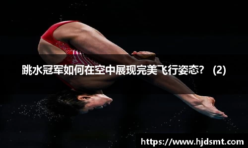 跳水冠军如何在空中展现完美飞行姿态？ (2)